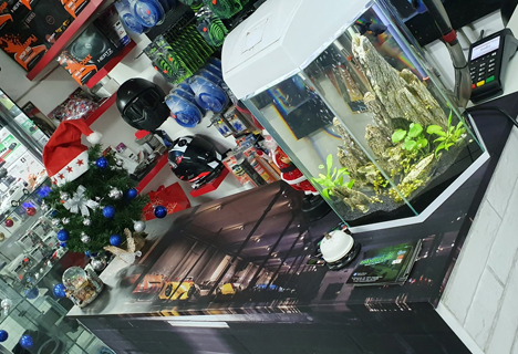 car wrapping napoli oscuramento vetri amnesia